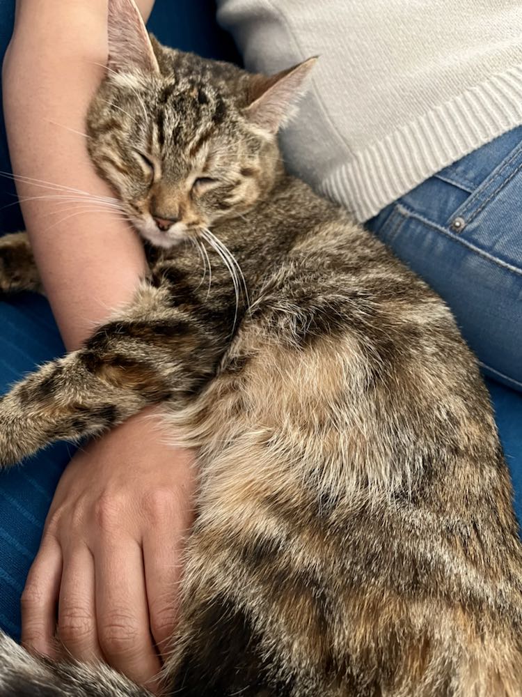 343731317_230187609646325_3122169139188961133_n