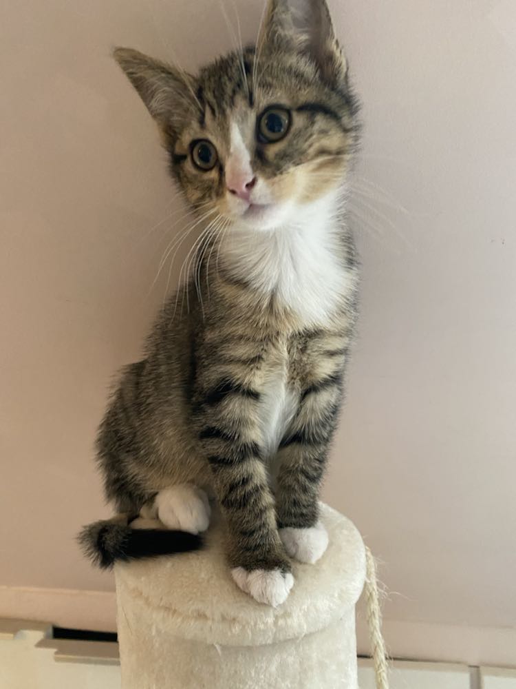 343739812_1862435390872159_3096301062595699064_n