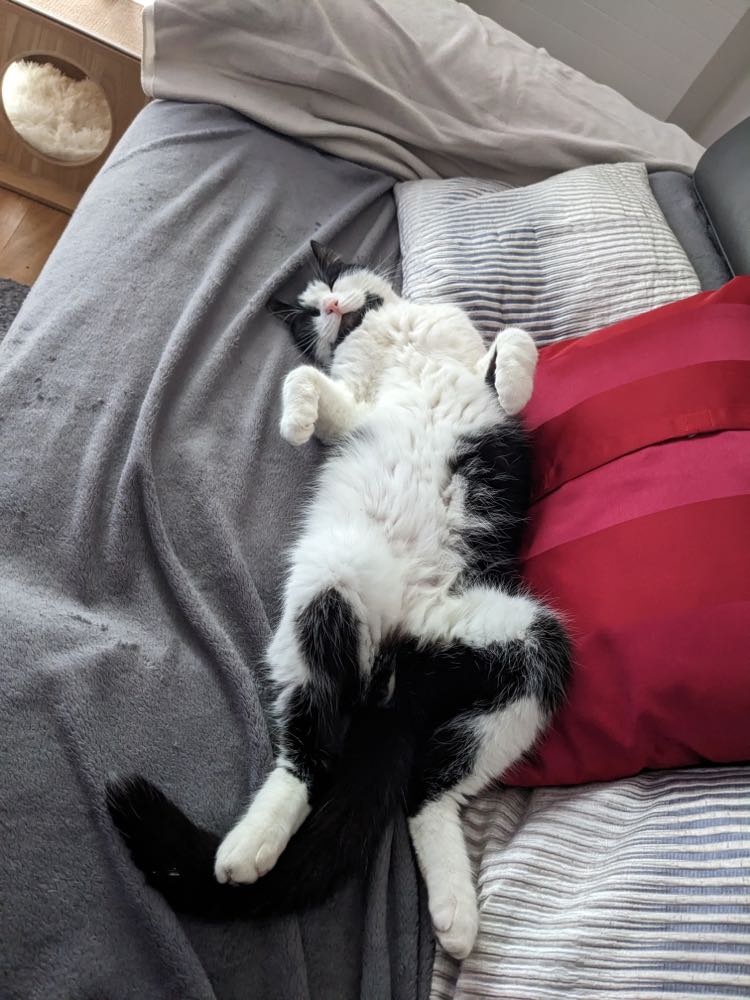 343768402_781551613598280_2788233661173916249_n