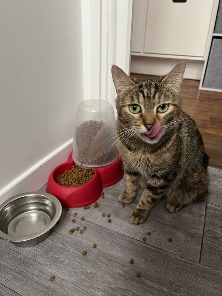 344642379_1418255608930341_5160892142778572455_n