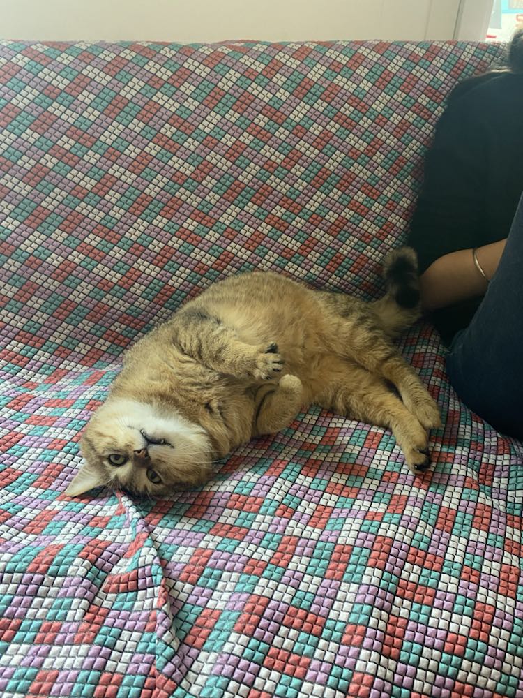 344645545_581690617388222_1468295775787431303_n