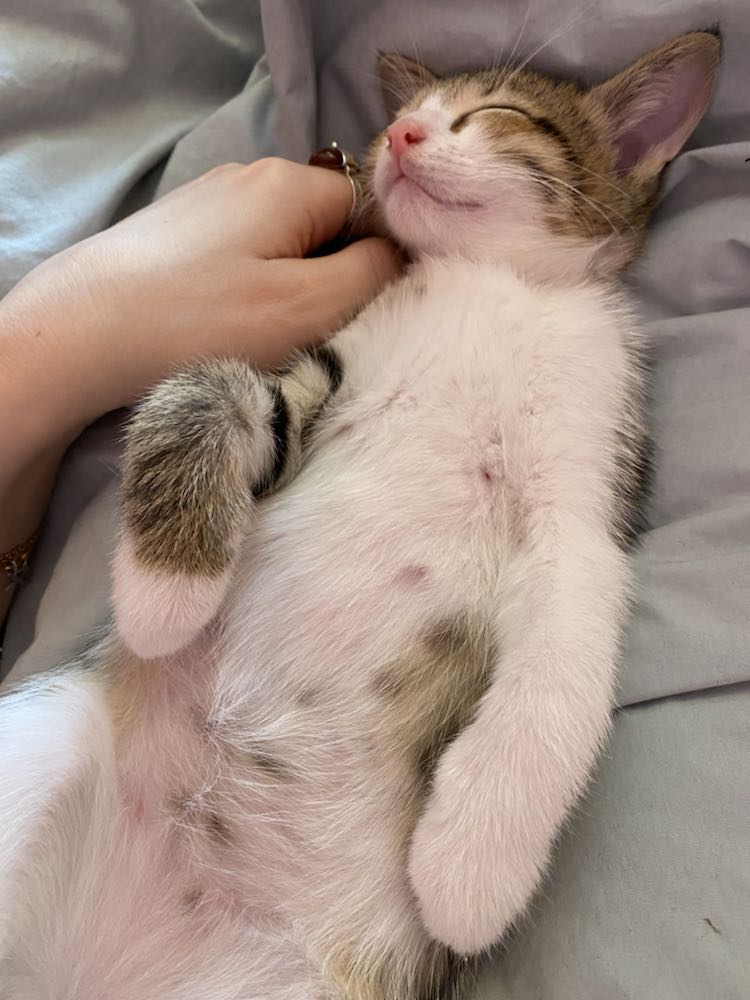 344649019_480850204215315_5586435208873458464_n