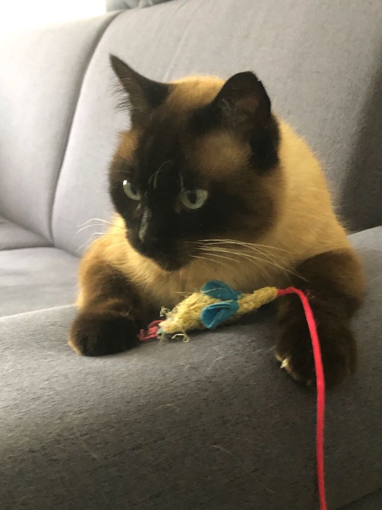 344702415_644819487105103_1885988780504009458_n