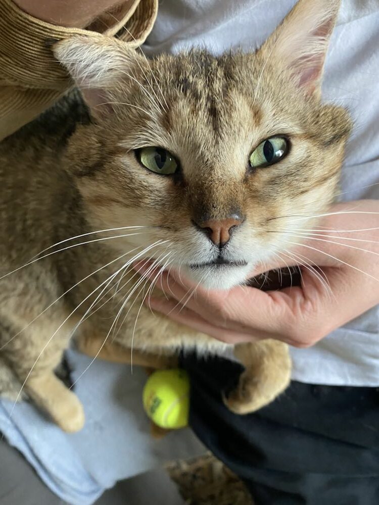 344726382_963982408386165_6868846109215381424_n-edited