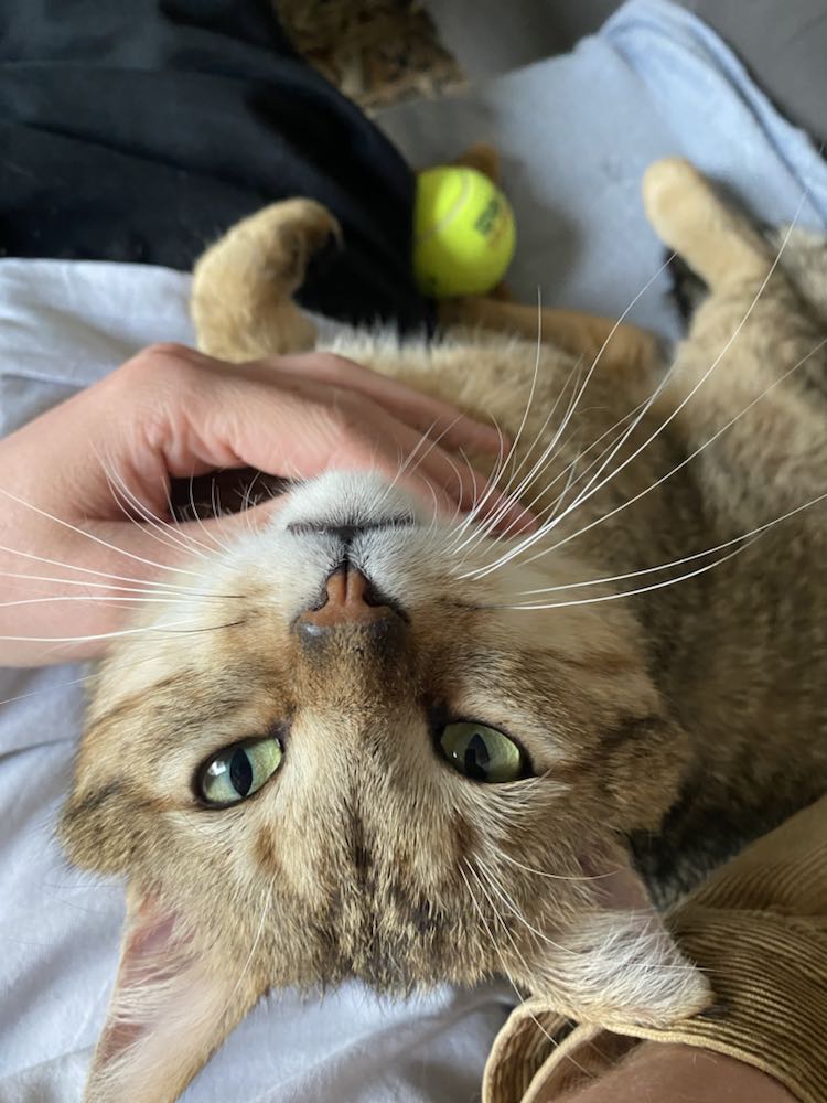 344726382_963982408386165_6868846109215381424_n