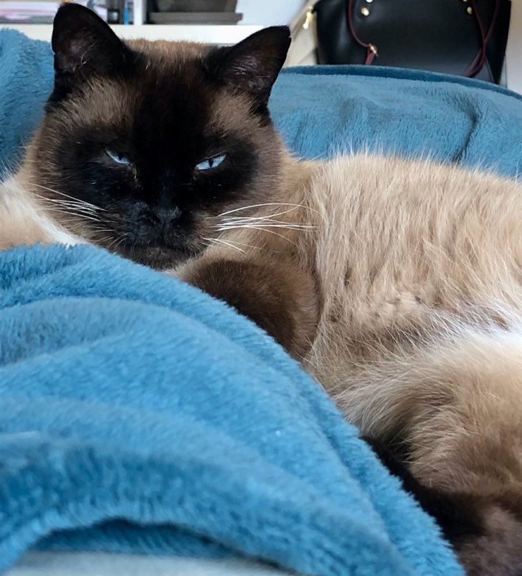 344750981_3184257745210243_5847928428578523707_n