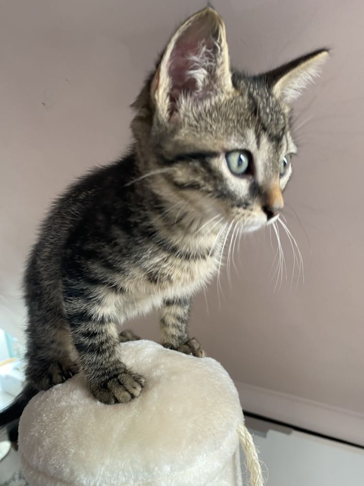 344754575_995641368271327_8682769290687862199_n