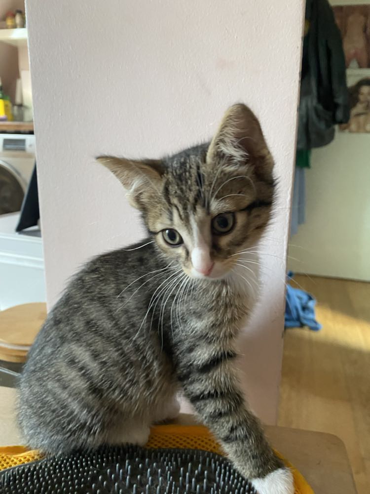 344767410_900970724303046_2617443337444030490_n