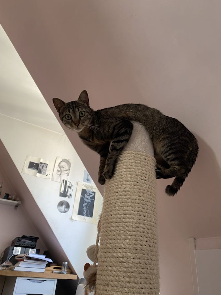 344774764_612203400865168_8051116663697267412_n