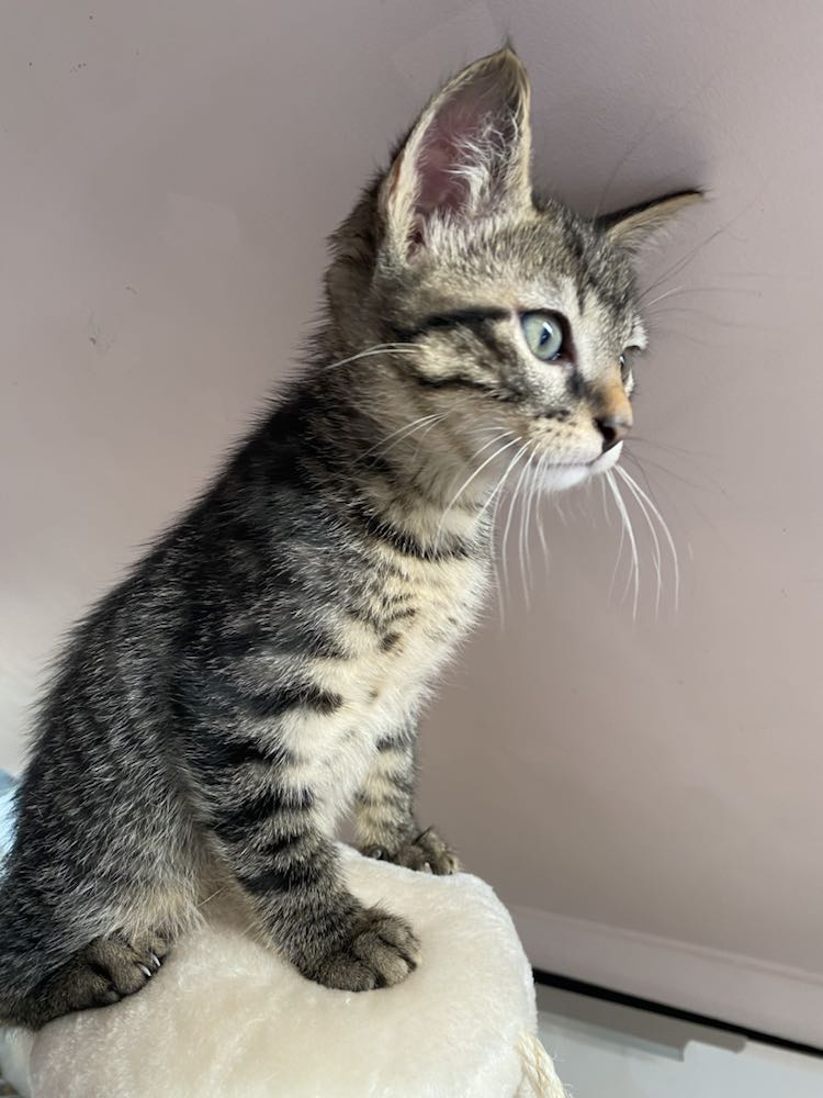 344776098_635515245099702_8077937336105017061_n