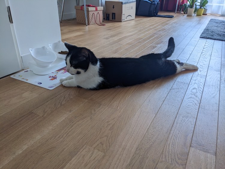 344781146_767067118426058_3033178988762742041_n