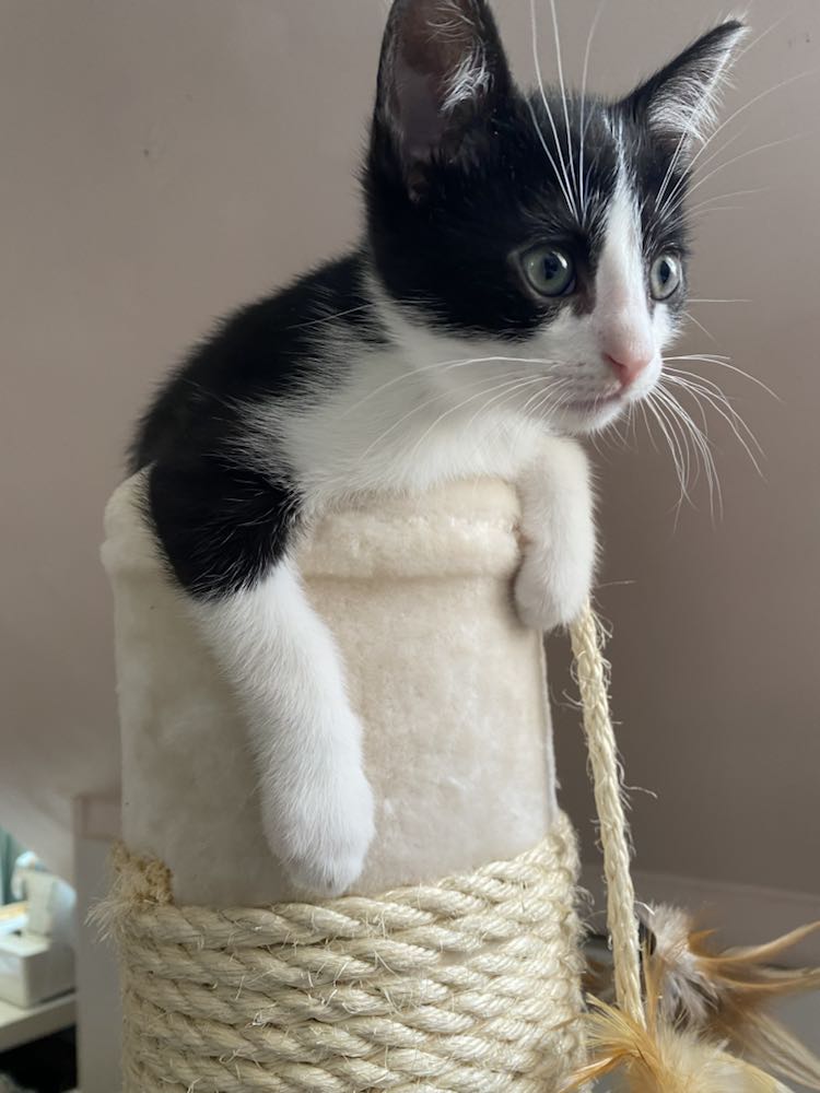 344785357_1431721600919927_2119119251071048055_n