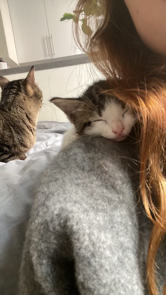 344794869_547195107610489_3725834437751486315_n