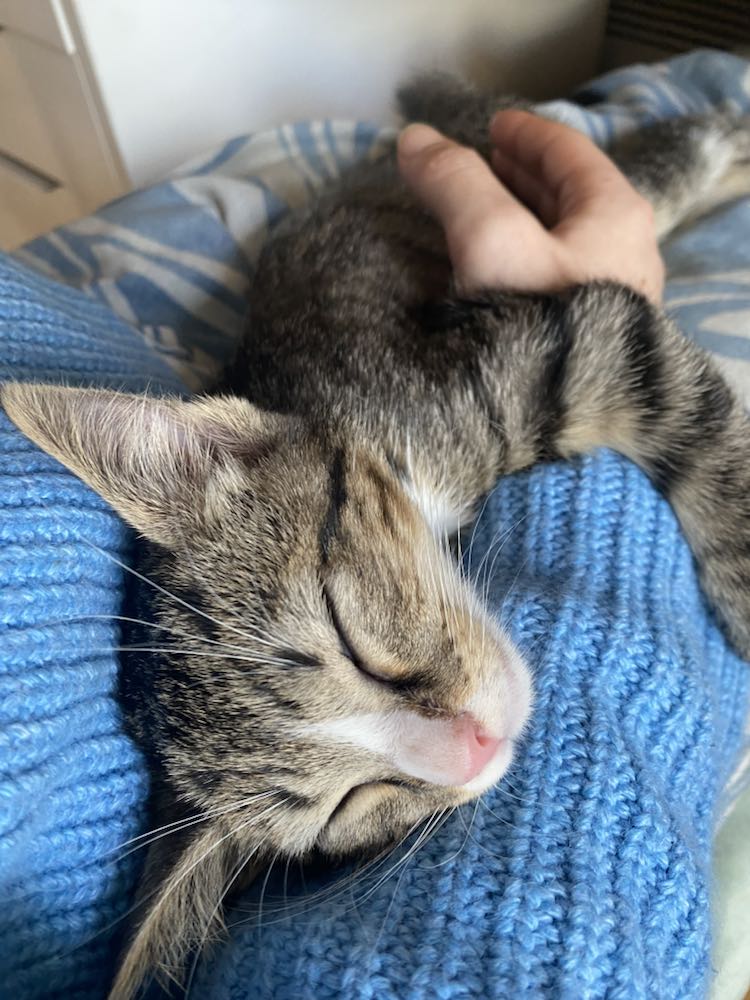 344798317_1188337158587667_7931059170319050325_n