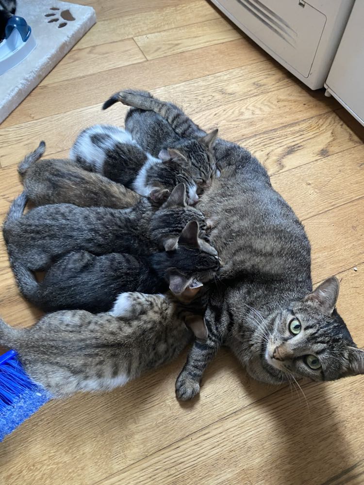 344930536_1551591042031623_3108086451555976378_n-2