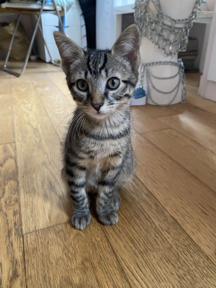 345048884_983249836035229_4303027726802557441_n