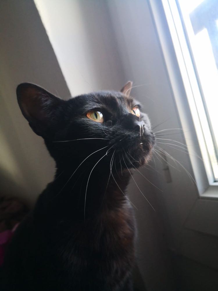 345066832_2133217156869347_5786182690558879188_n