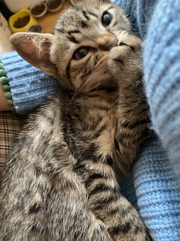 345071618_676382287651566_8042274268451860798_n