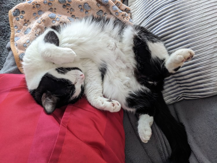 345103545_199099349385651_5933299599563617259_n