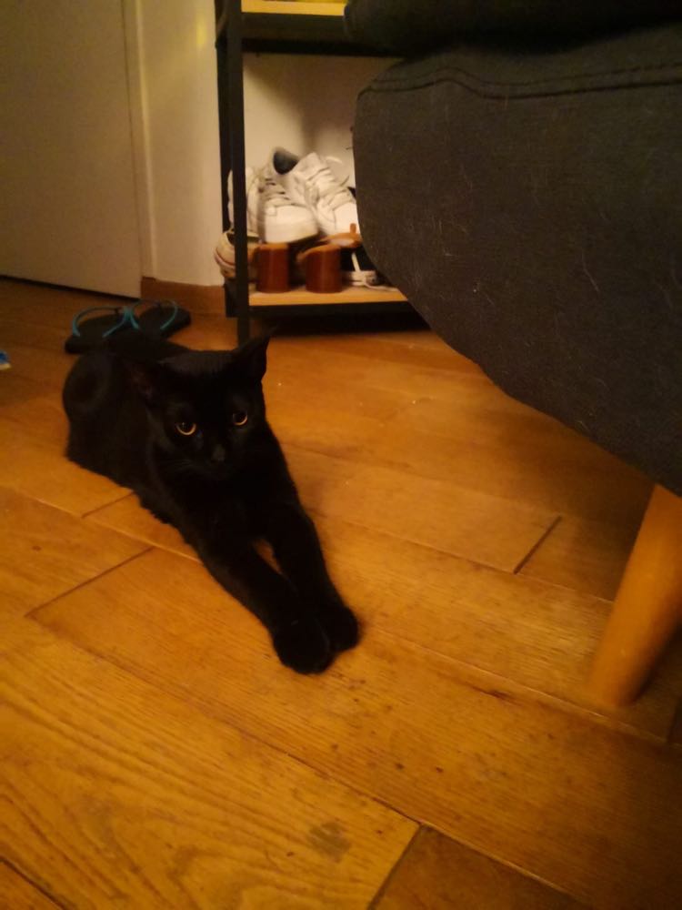 345222496_273799871758938_7850949226584812141_n