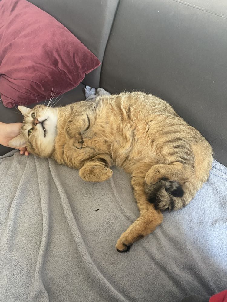 345230487_932703187848714_3976578063583451723_n