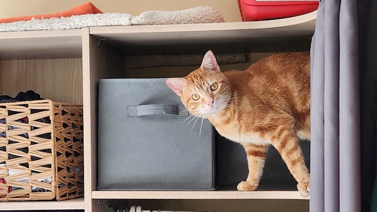 345238247_2149187185425980_8474578006116290532_n