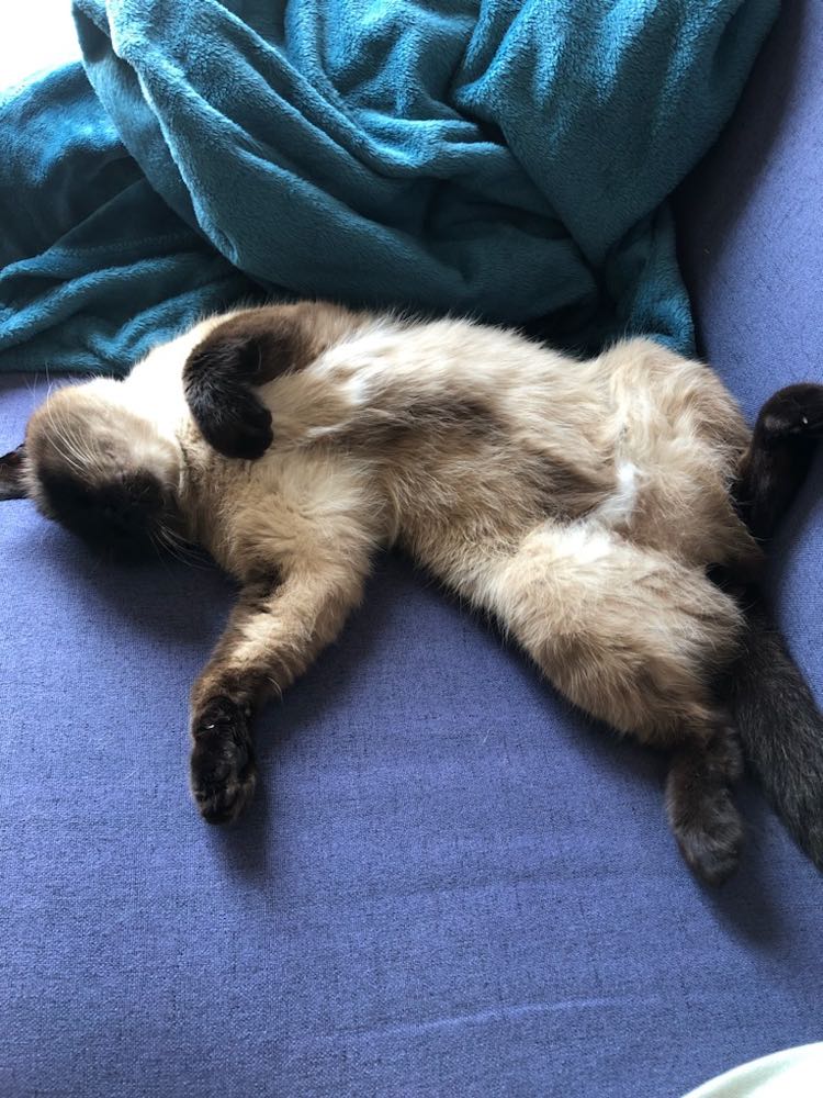 345266865_1298616000736693_3870235858601171807_n