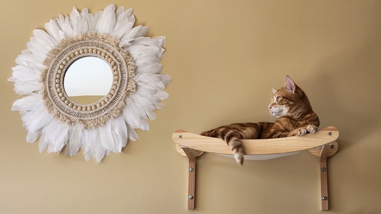 345325385_1177685113630609_930587883553252468_n