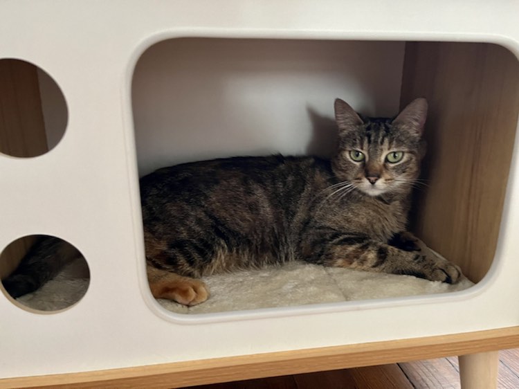 345466134_1597409104058509_3519057550811484593_n