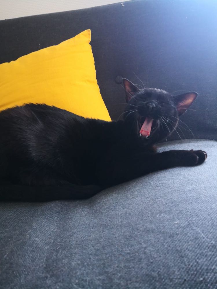 345475785_592311156054015_4406159883851331917_n