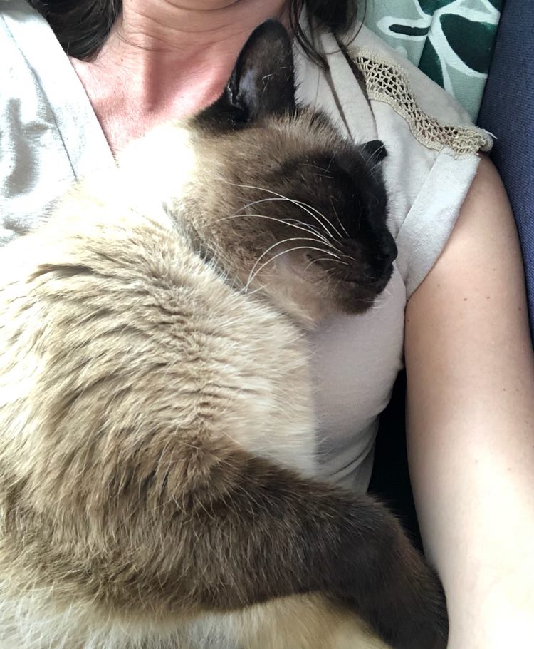 350966760_1208964279821989_8959042167591826123_n