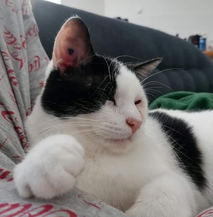 351044087_818519762993934_7511616175682453861_n