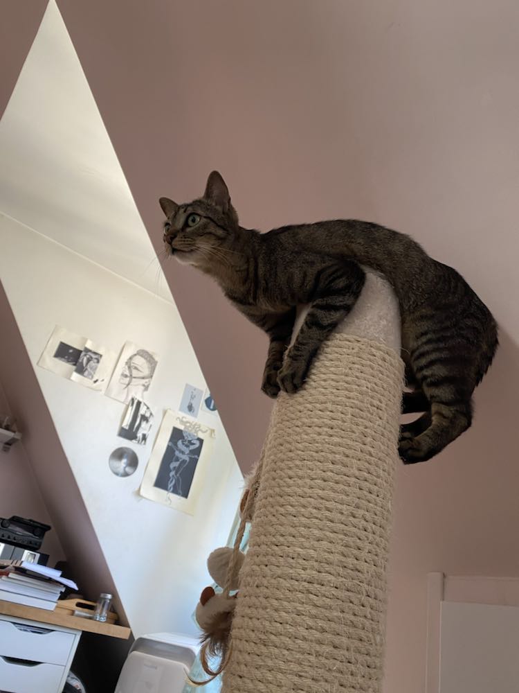 351099796_558410996232291_2893275759153159866_n