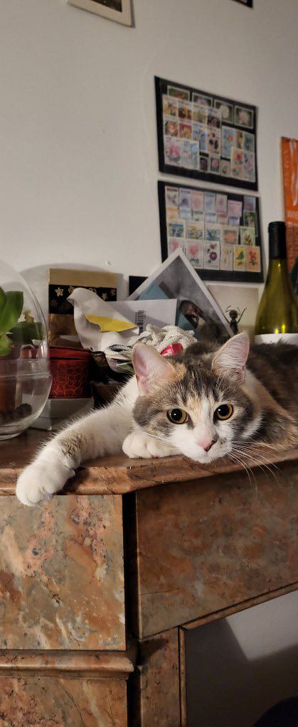 351180140_1747351789044880_6451610730417704354_n