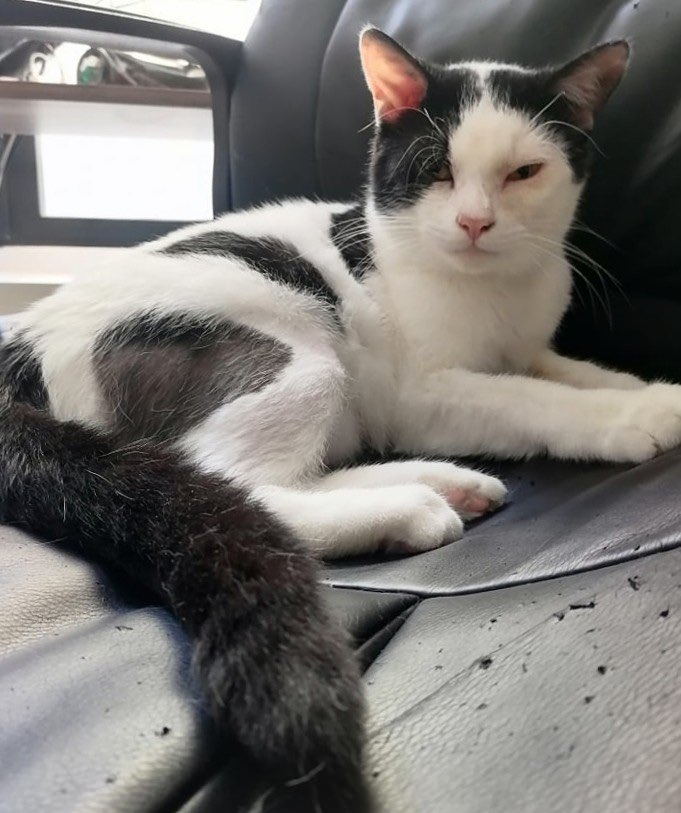 351224114_745548223921211_962178914408693518_n