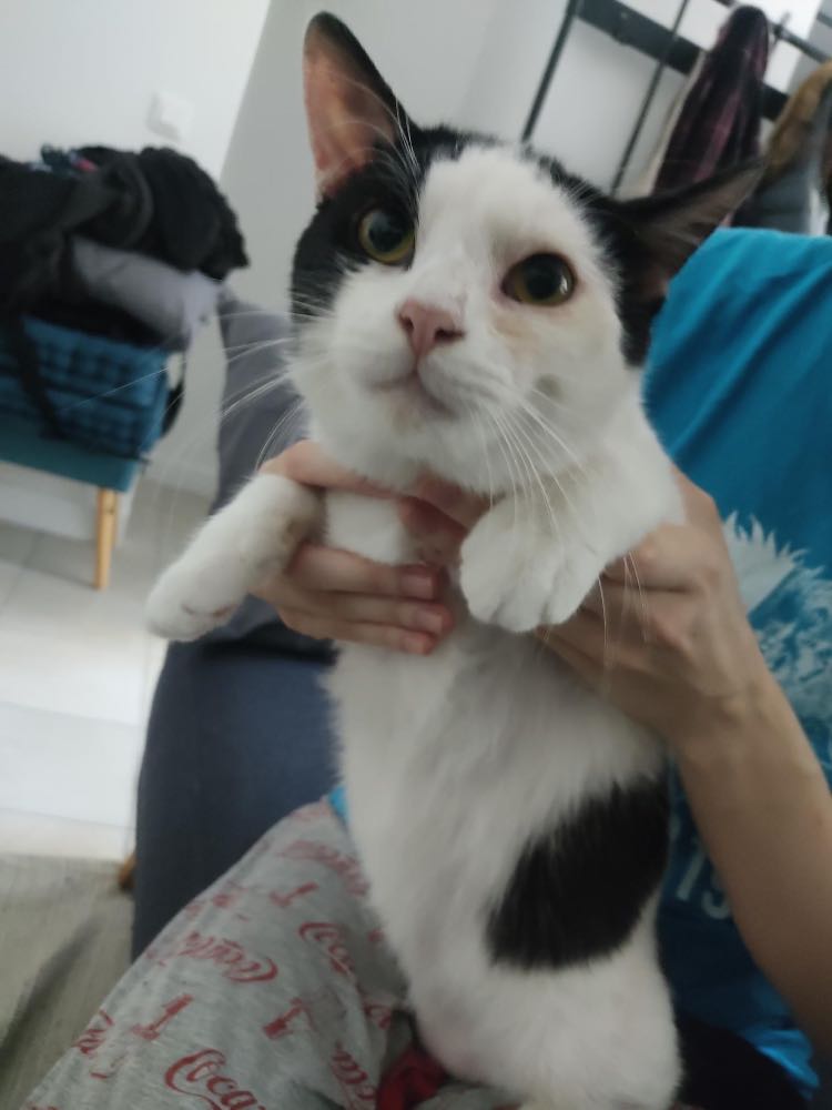 351236640_1603872443469498_5210878146922216939_n