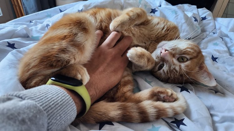 351306166_276589644933941_6051458834549150356_n