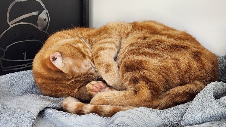 351319306_209223801995371_455777353037066443_n