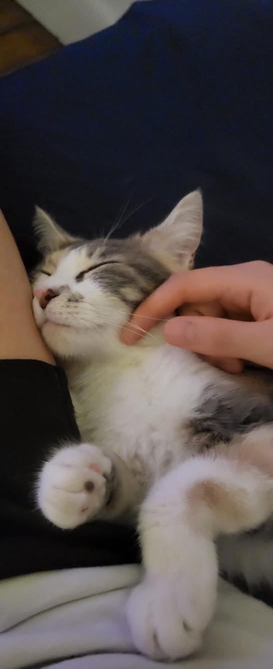 351366433_1379830089230054_5721763077716868991_n