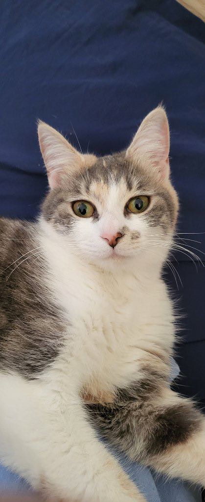 351448414_211908011789716_3388665822498016250_n