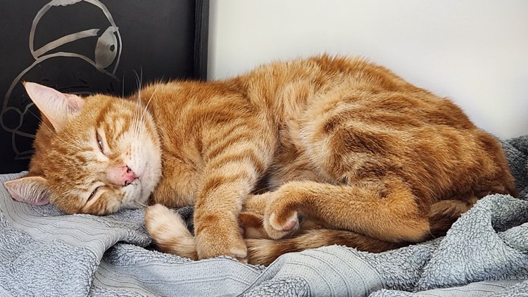 351449519_1969994430047843_6864750901423364207_n