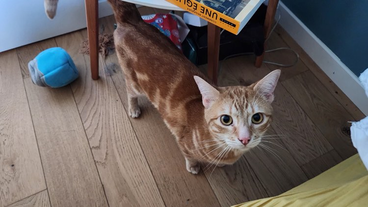 351463636_634865438564626_2565008741566307197_n