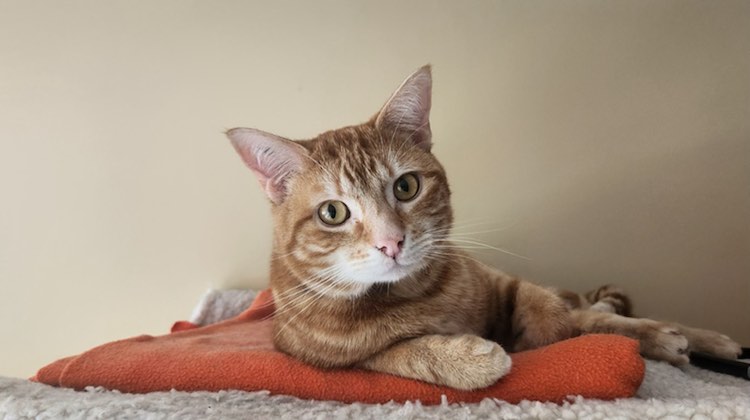 351541000_626332866072338_3349826539263572286_n