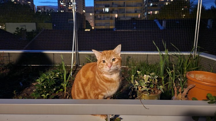 351599946_245524148094985_3077628873023510987_n