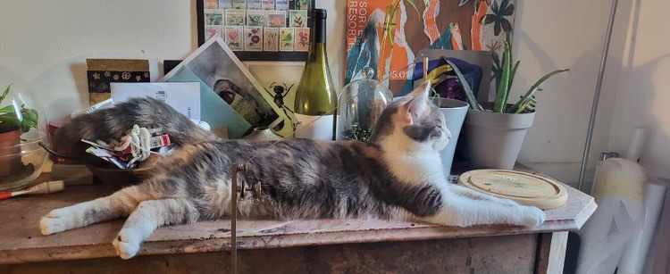 351599948_977475026773184_2394328766172060060_n