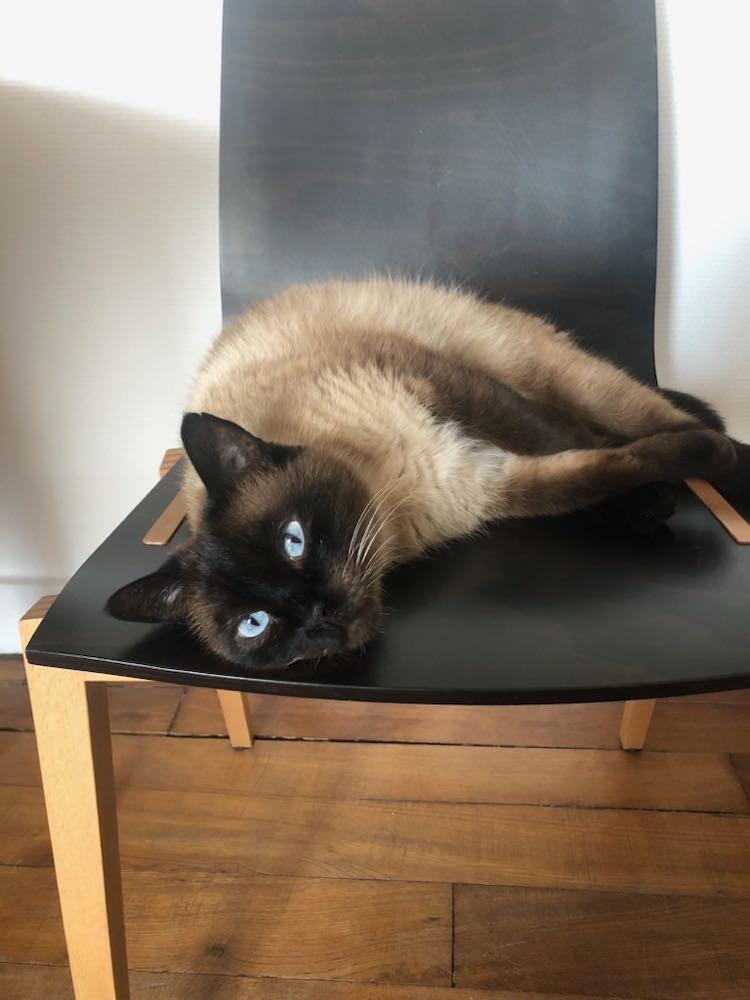 351619056_2294024714114946_2331031760059469828_n