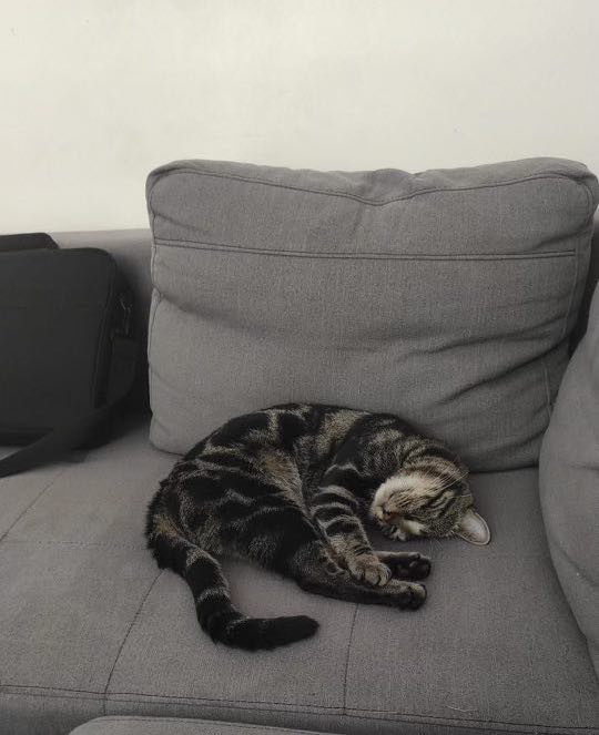 351619056_244707218308137_4217825137379572287_n