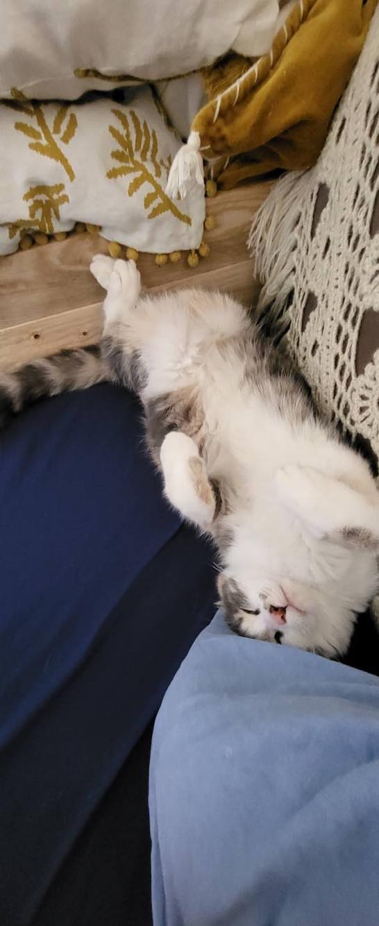 351653701_798018038696445_5829268835196718929_n