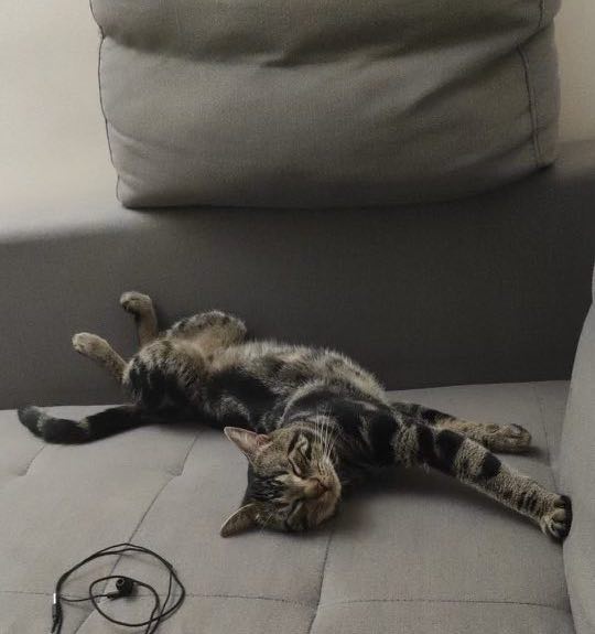 351712711_967734857707806_2954119394057869713_n