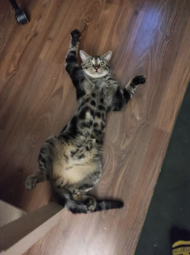 351729697_1717761298642363_4882133915678162871_n